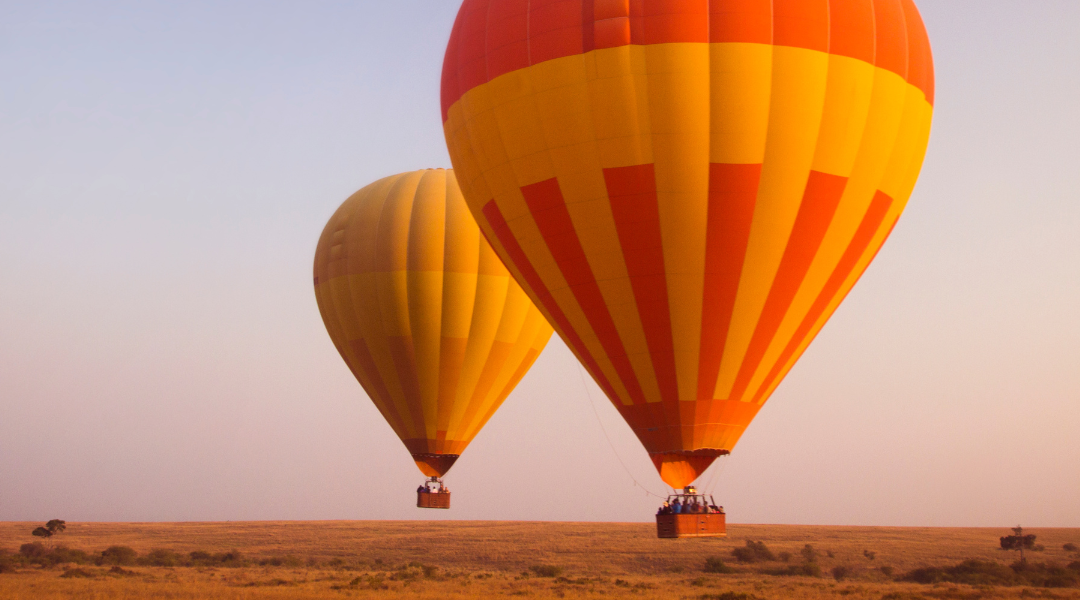 The Game you can see on a Hot Air Balloon Safari