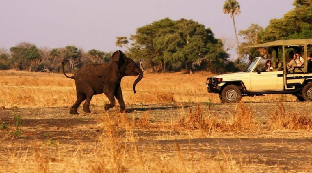 Katavi National Park on your Tanzania safari