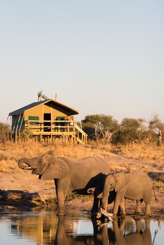 Lodge of The month Apr 2024- Ruaha River
  Camp
